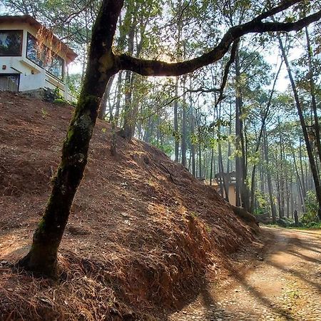 Villa Fantasia A 15 Min A Pie De Cascada Mazamitla Zewnętrze zdjęcie