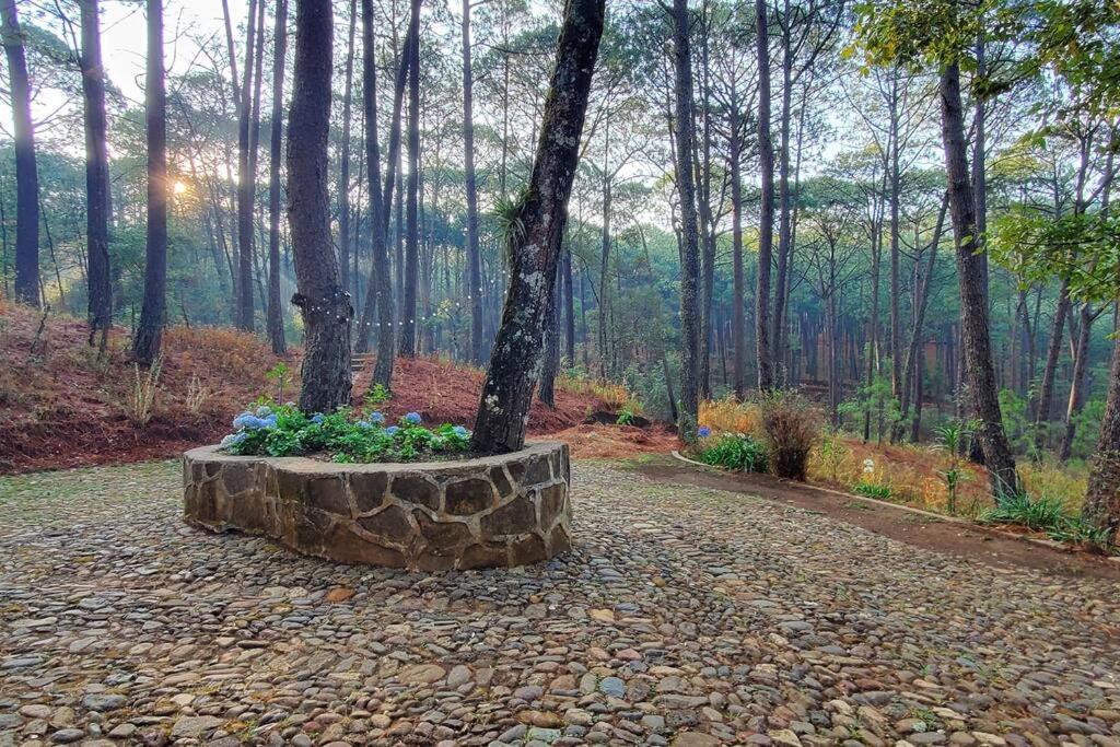 Villa Fantasia A 15 Min A Pie De Cascada Mazamitla Zewnętrze zdjęcie